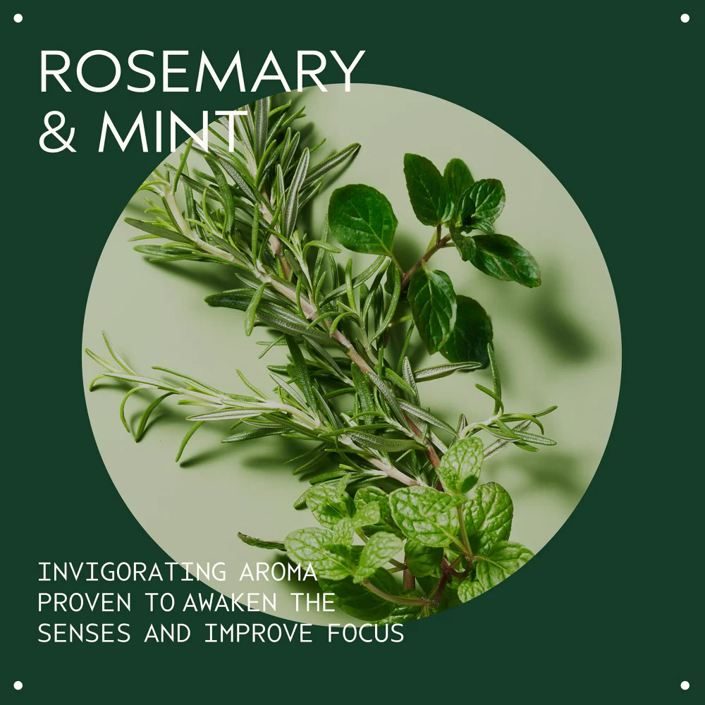 Aveda Rosemary Mint Purifying Shampoo 250ml - Image 3