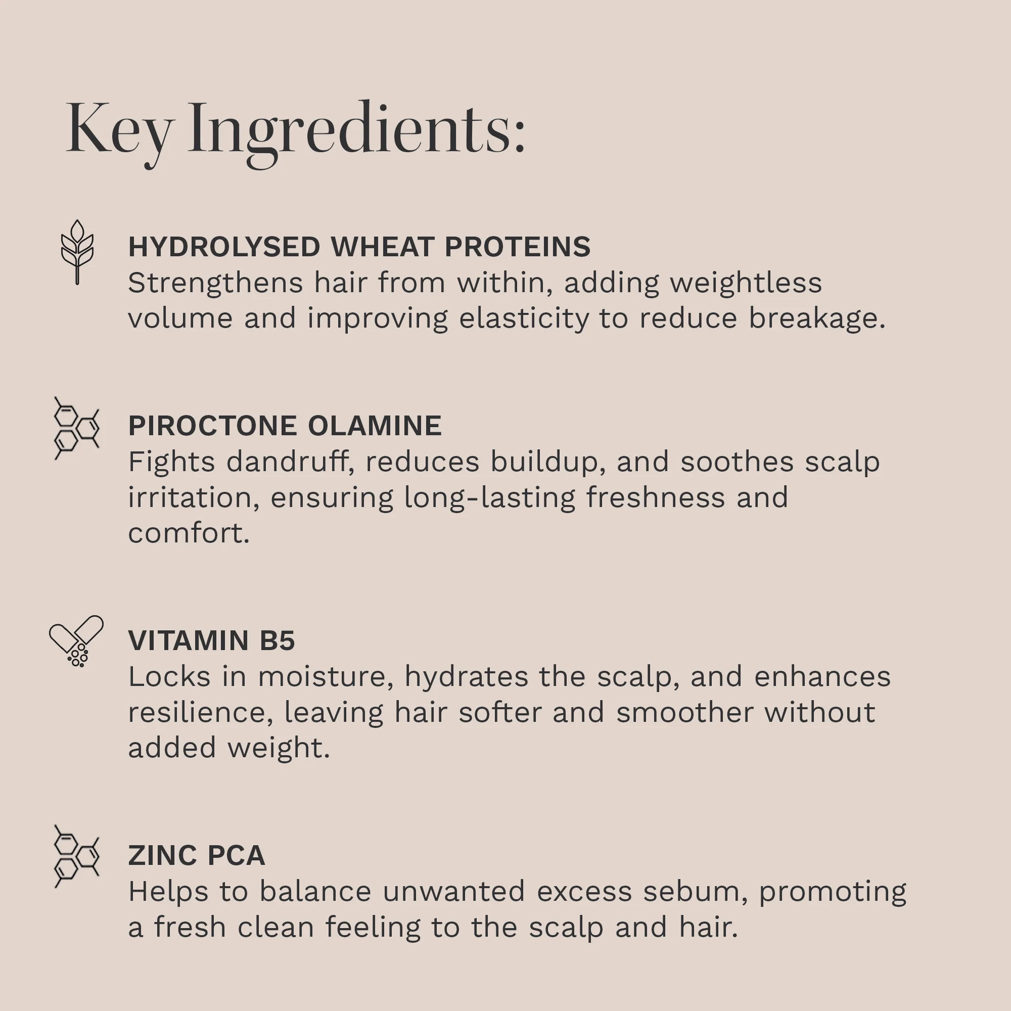 Hairburst Oily Scalp & Root Shampoo 350ml - Image 4