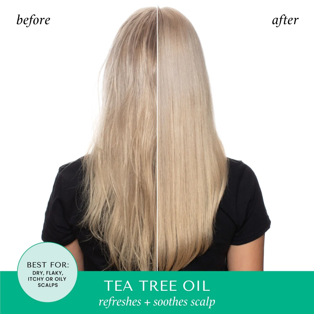 Hask Tea Tree Oil Invigorating Shampoo 355ml - Image 7