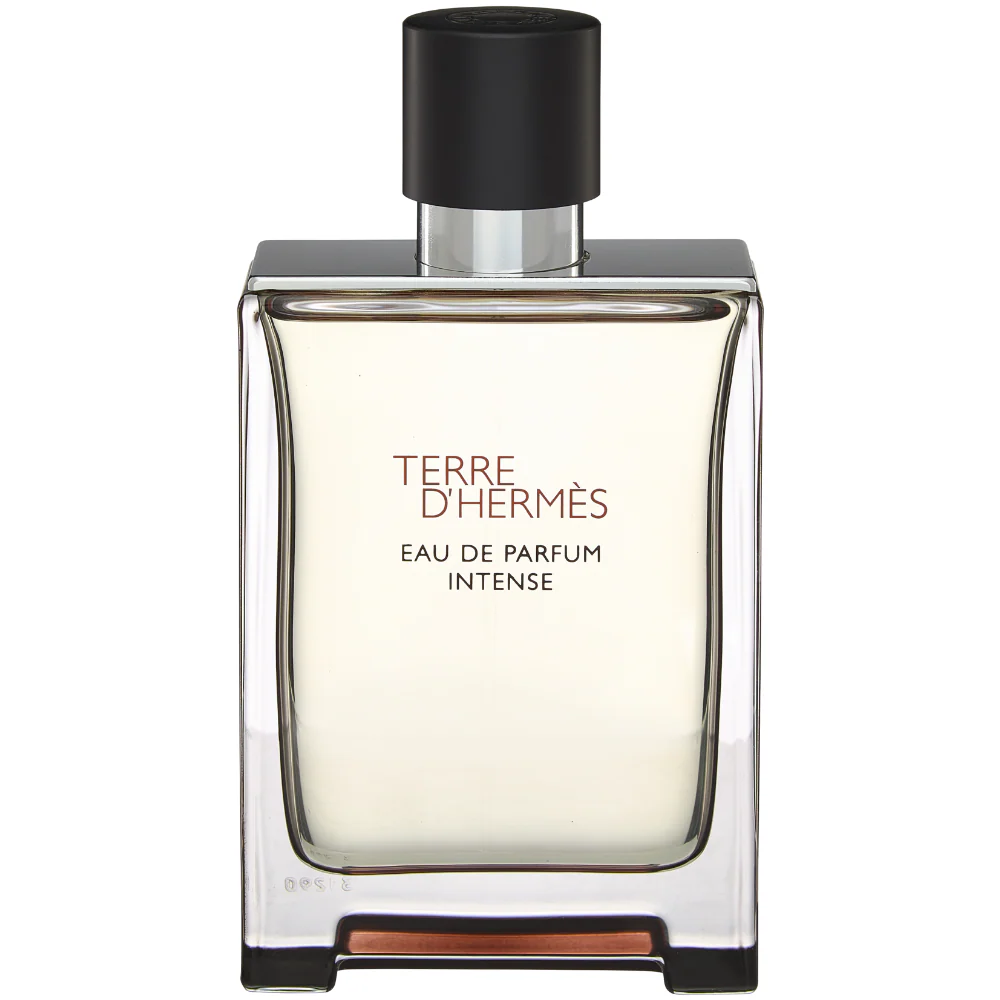 Hermes Terre D'Hermes Eau De Parfum Intense 100ml
